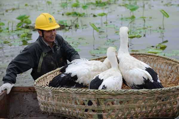 云顶国际(集团)官方网站